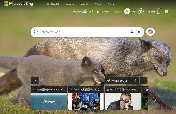 Microsoft Bing
