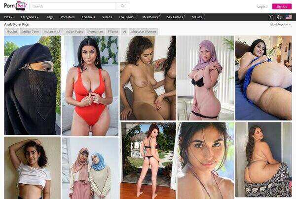 PornPics Arab